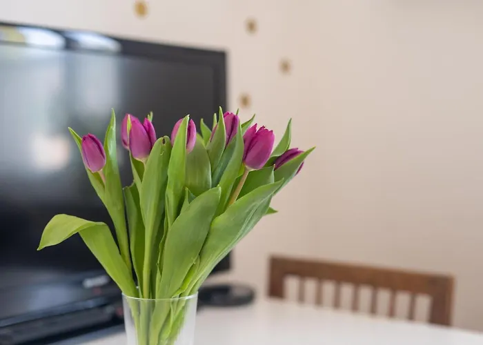 Appartement Soska 5 *